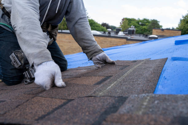 Best Roof Waterproofing Services  in Timberne, LA