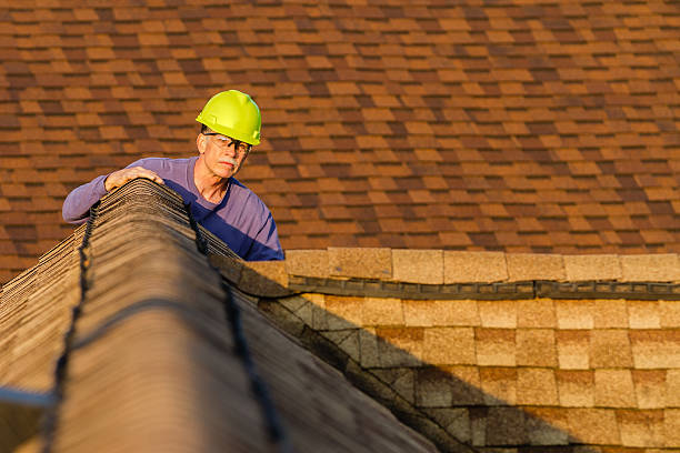 Best New Roof Installation  in Timberne, LA